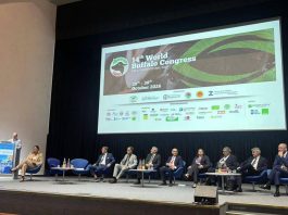 Mozzarella Dop e AI, dal World buffalo congress la road map per il futuro