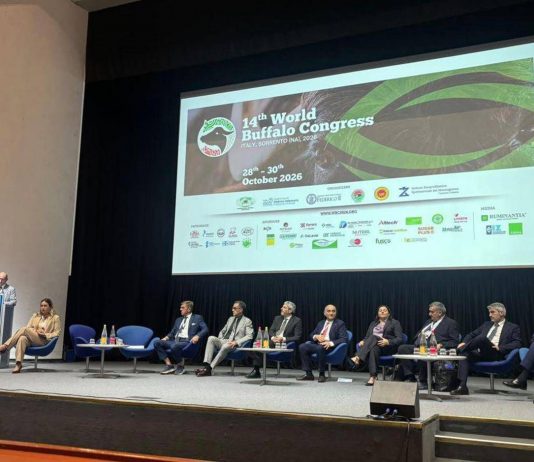 Mozzarella Dop e AI, dal World buffalo congress la road map per il futuro