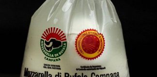 Caro carburanti, per sciopero autotrasporto bloccata produzione mozzarella di Bufala Campana