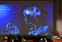 Un’alga e una luce blu: così è nata la scoperta che ha vinto il Nobel per la Medicina 2026