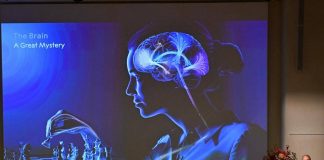 Un’alga e una luce blu: com’è nata la scoperta del Nobel per la Medicina