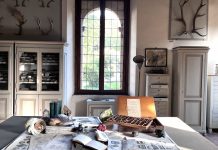 Palazzo d’Arco presenta Naturae: in mostra le collezioni scientifiche dell’Ottocento mantovano