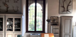 Palazzo d’Arco presenta Naturae: in mostra le collezioni scientifiche dell’Ottocento mantovano