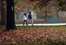 Sole e caldo anomalo fino a 20°C, poi cambia tutto: quando arriva il freddo