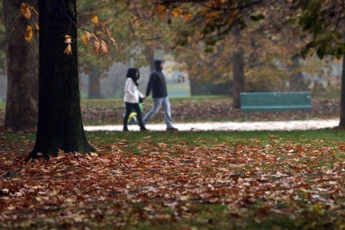 parco_invaso_dalle_foglie