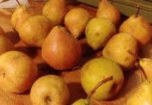 Pere mantovane, annata importante per qualità e quantità. Ma i prezzi frenano i consumi