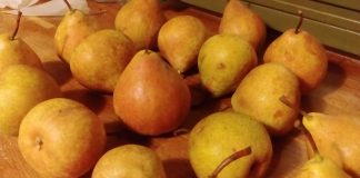 Pere mantovane, annata importante per qualità e quantità. Ma i prezzi frenano i consumi