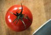 Rischio salmonella a Bari, Asl vieta pomodori freschi in mense nidi, scuole e Rsa
