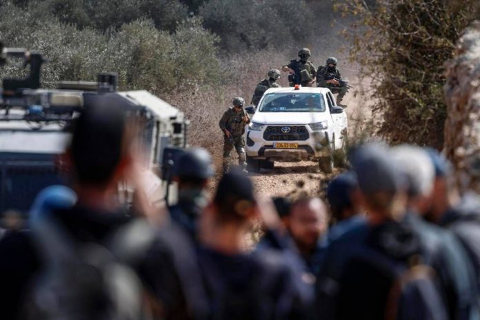 raccoltaolive_israele_ipa_fg
