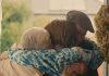 Lo spot contro lo stupro ‘attacca’ i nonni, bufera in Irlanda