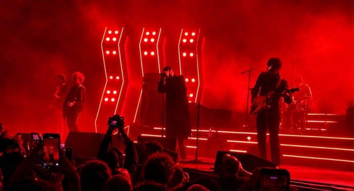 strokes_bologna_adn