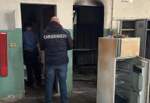 Suzzara, coltello e droga in un capannone abbandonato: scattano denuncia ed espulsione