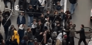 Tensione a Losanna con un automobilista durante la manifestazione dei giovani contro il capitalismo