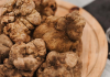 Fiera del Tartufo Bianco, Lisa Mantovani inaugura gli showcooking con i suoi tortellini