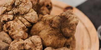 Fiera del Tartufo Bianco, Lisa Mantovani inaugura gli showcooking con i suoi tortellini