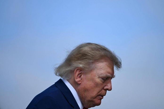trump_capelli_profilo_afp_1710