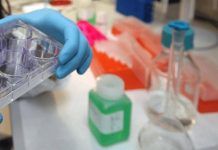 Giornata tumore seno metastatico, in Italia oltre 55mila donne con la malattia