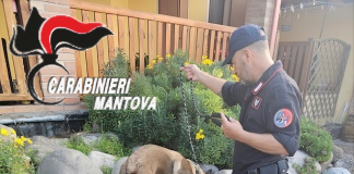 Operazione antidroga a Castel Goffredo: un arresto e sette denunce, sgominata banda di spacciatori
