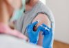 Marcellusi (UniMi): “Con vaccino antinfluenzale adiuvato risparmiati 134 milioni in 30 anni”