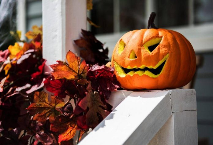 zucca_halloween_123rf-1