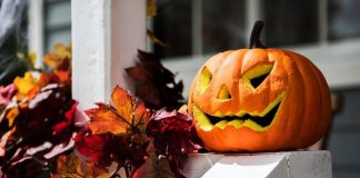 Zucca e semi di zucca: il lato sorprendente (e sano) di Halloween